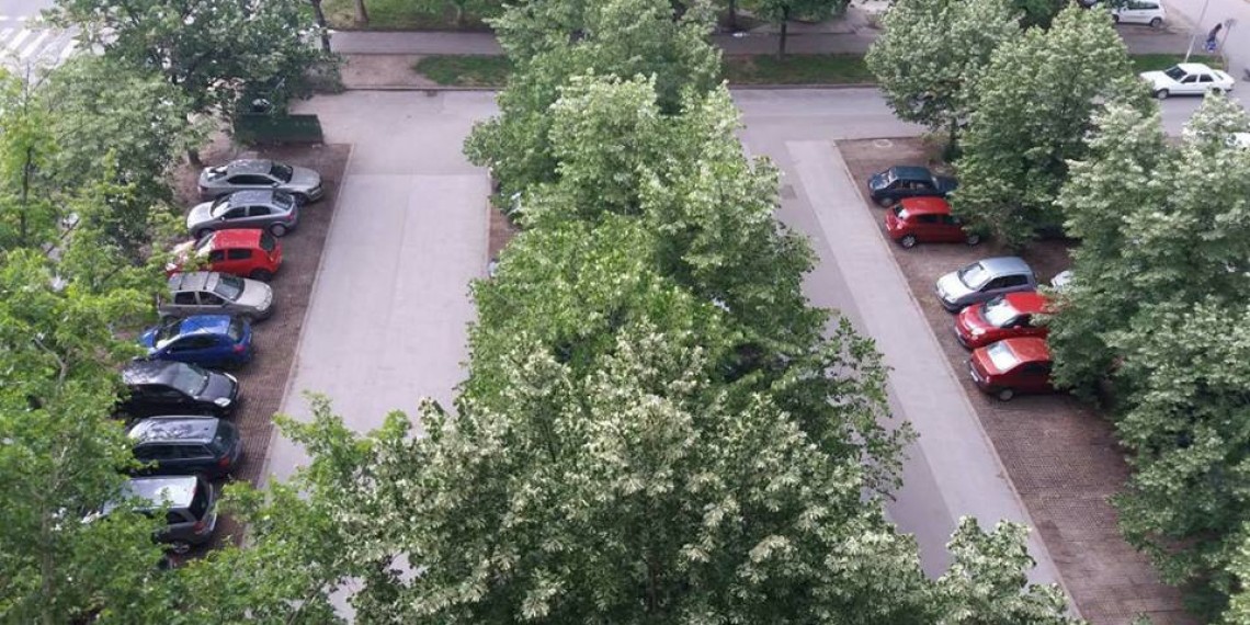 Uništavanje zdrave životne sredine i ekologije Grada Novog Sada