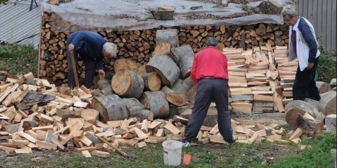 PSG – Omogućiti građanima da povoljno kupe ogrevno drvo