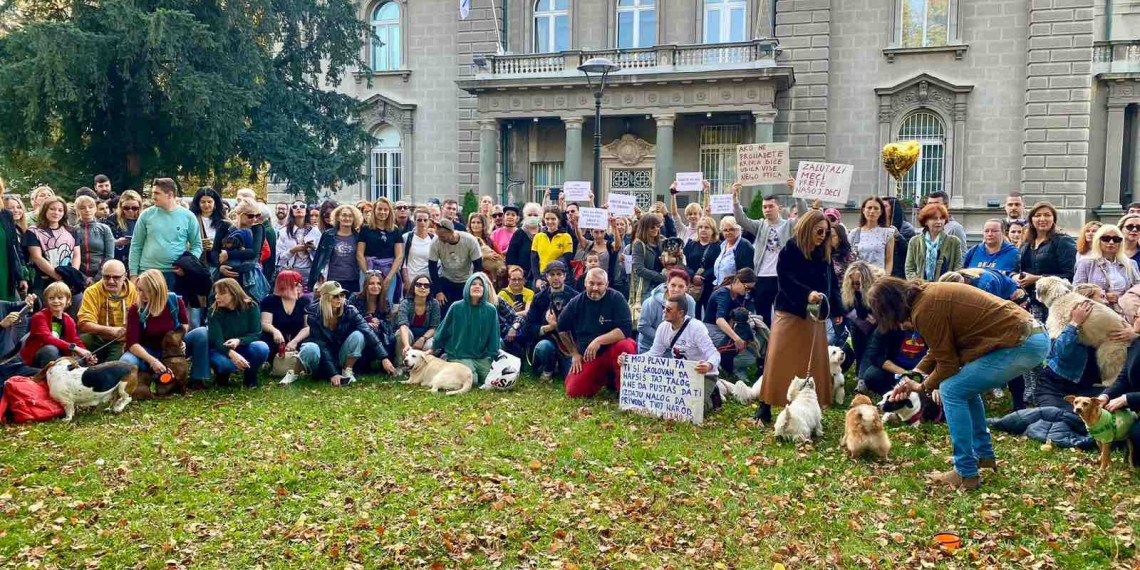 PSG Smederevska Palanka-Još uvek bez ikakvih informacija o ubijanju pasa u našem gradu